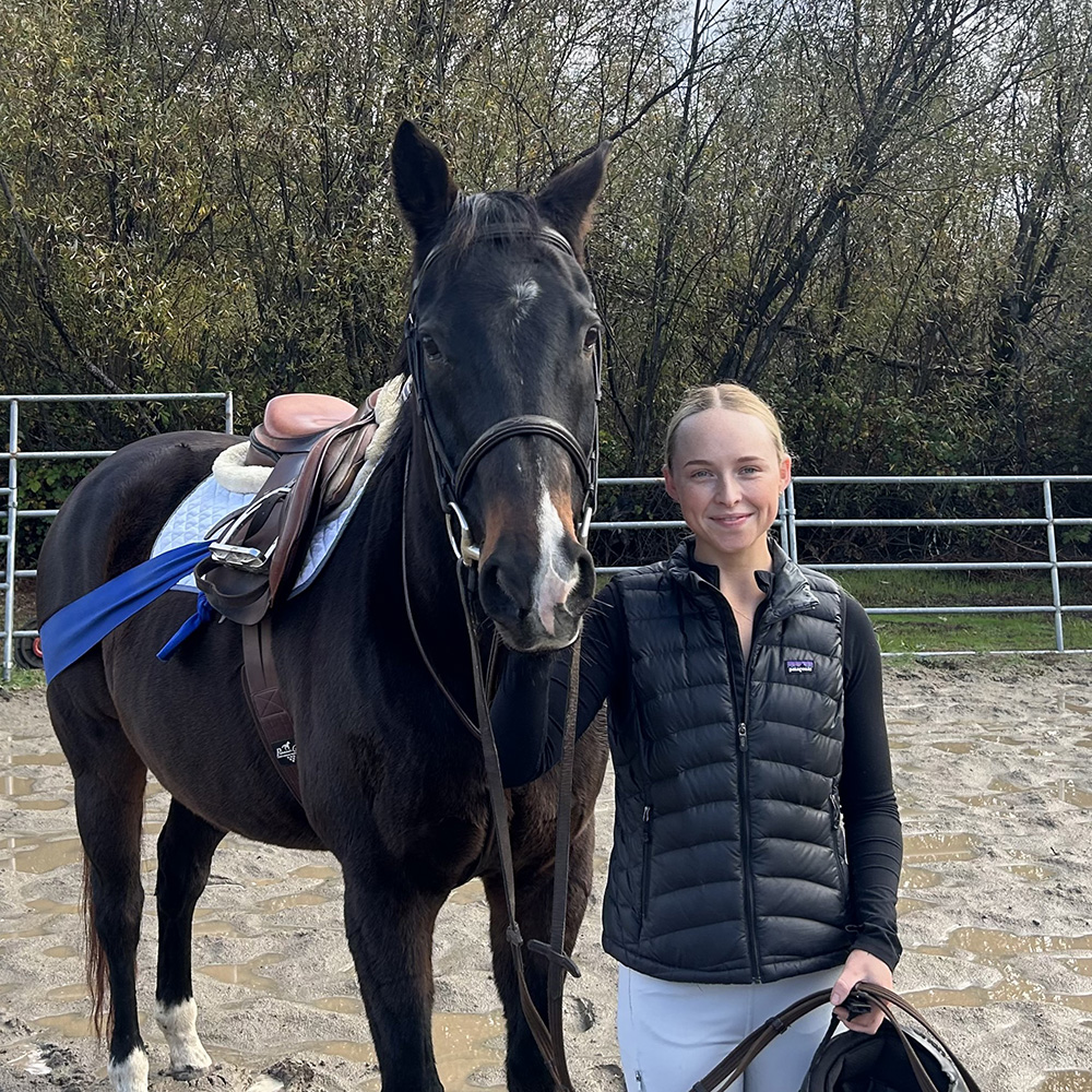madison-artaurus-equine