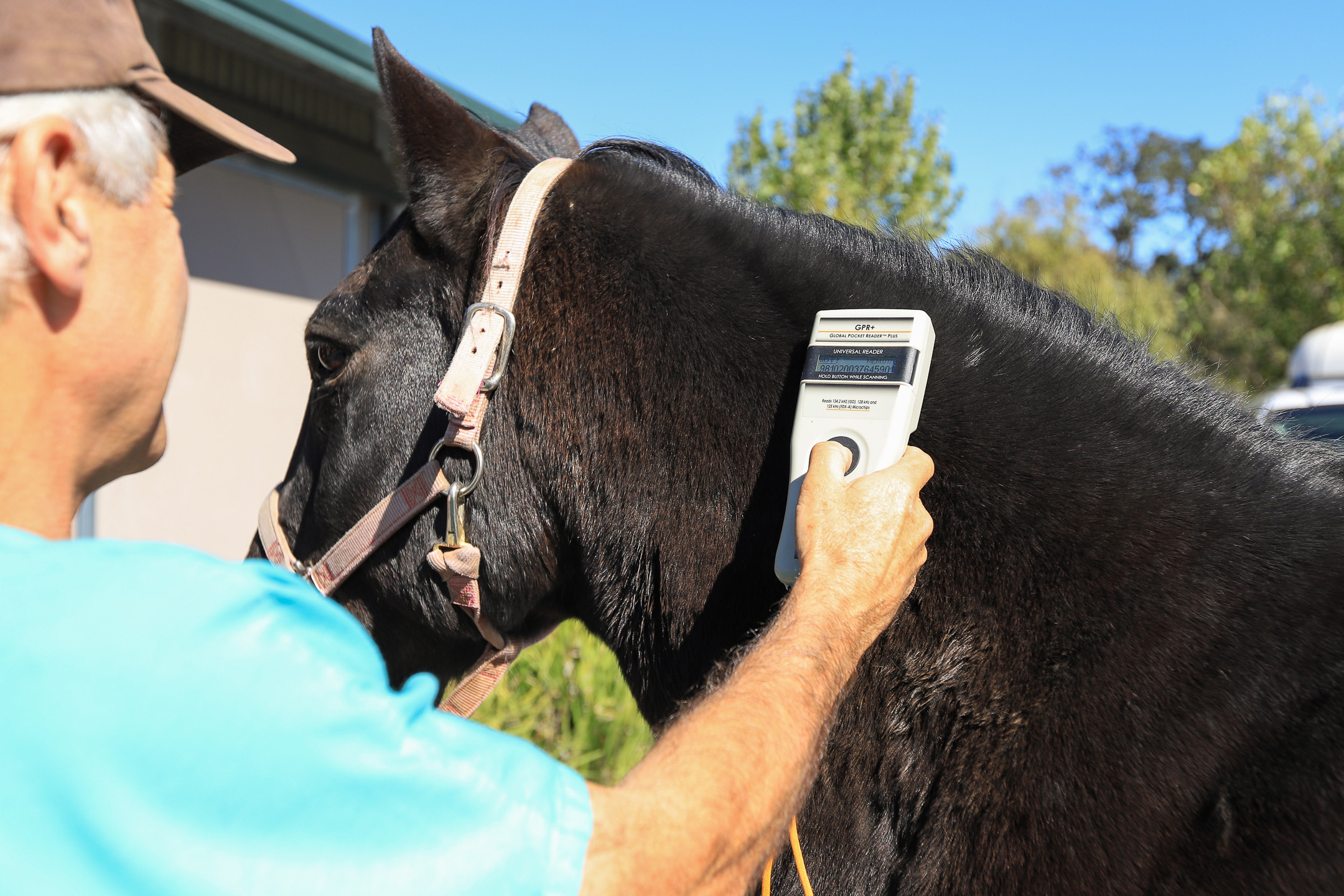 veterinary-services-gallery-2