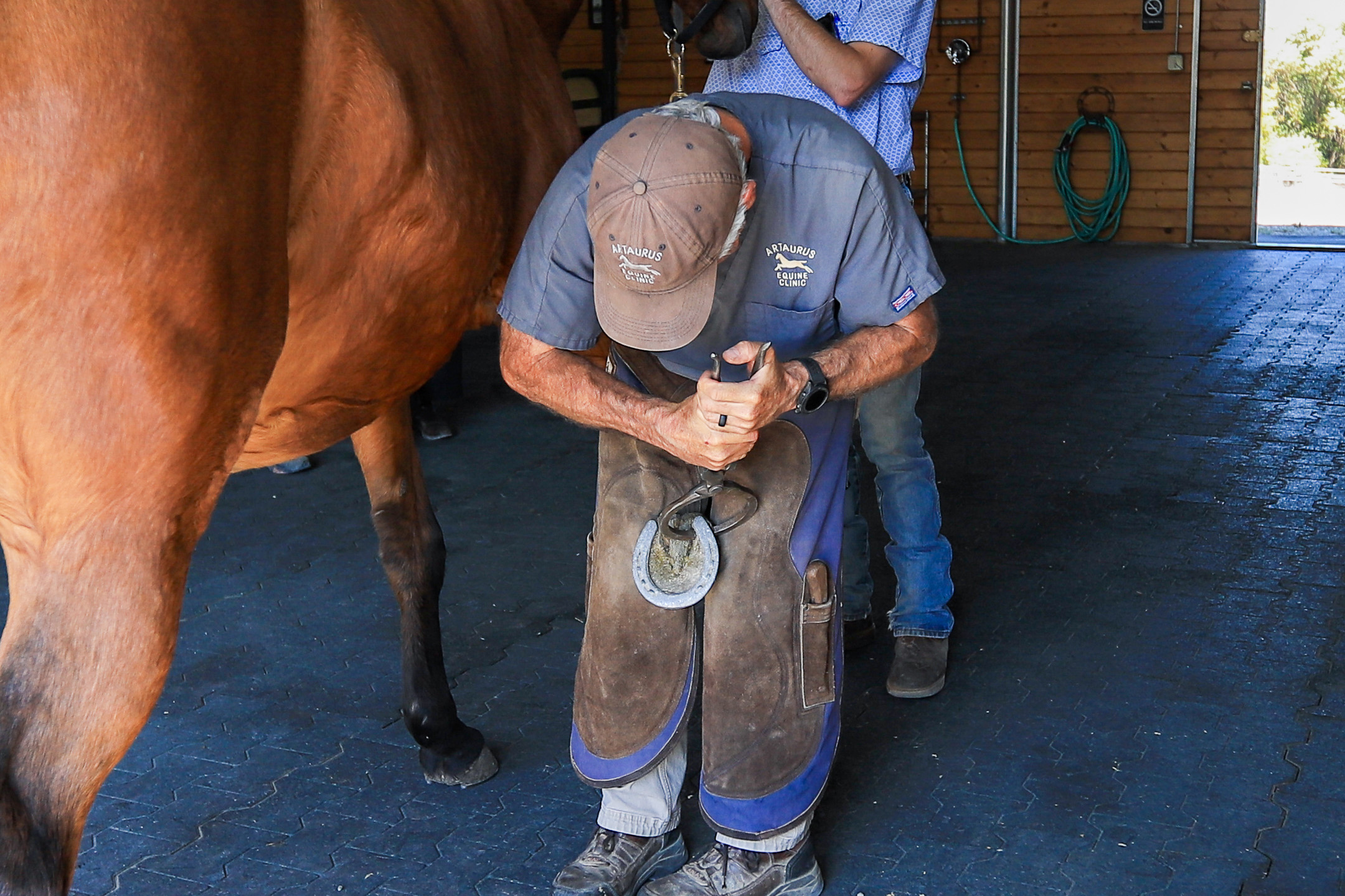 veterinary-services-gallery-3