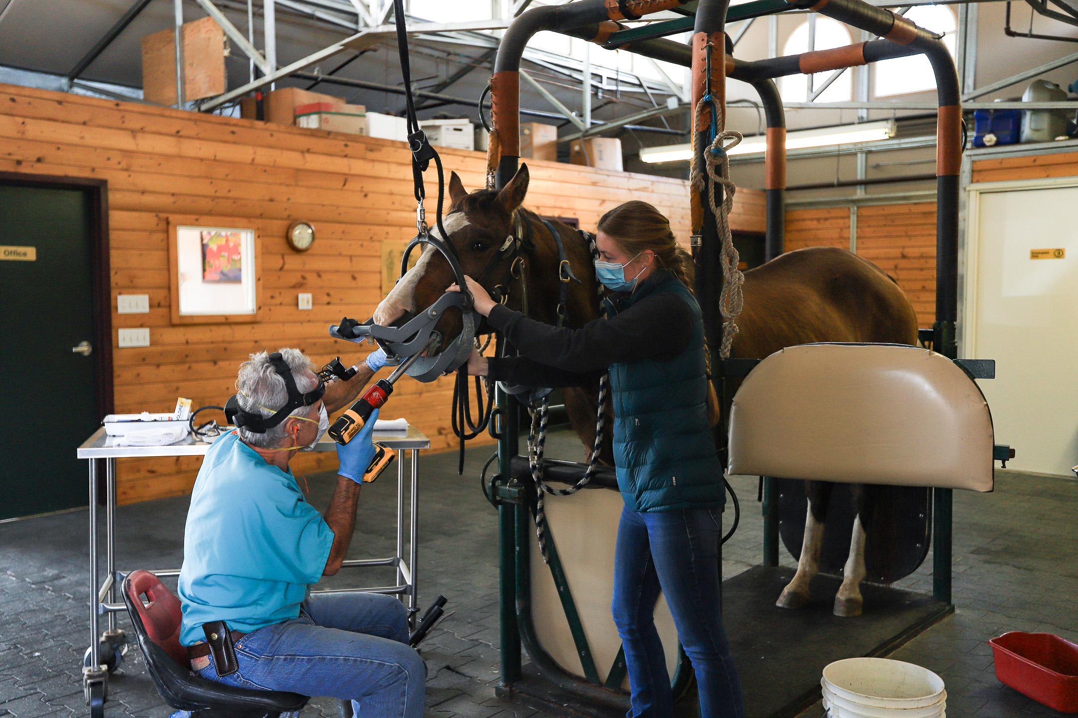 veterinary-services-gallery-5