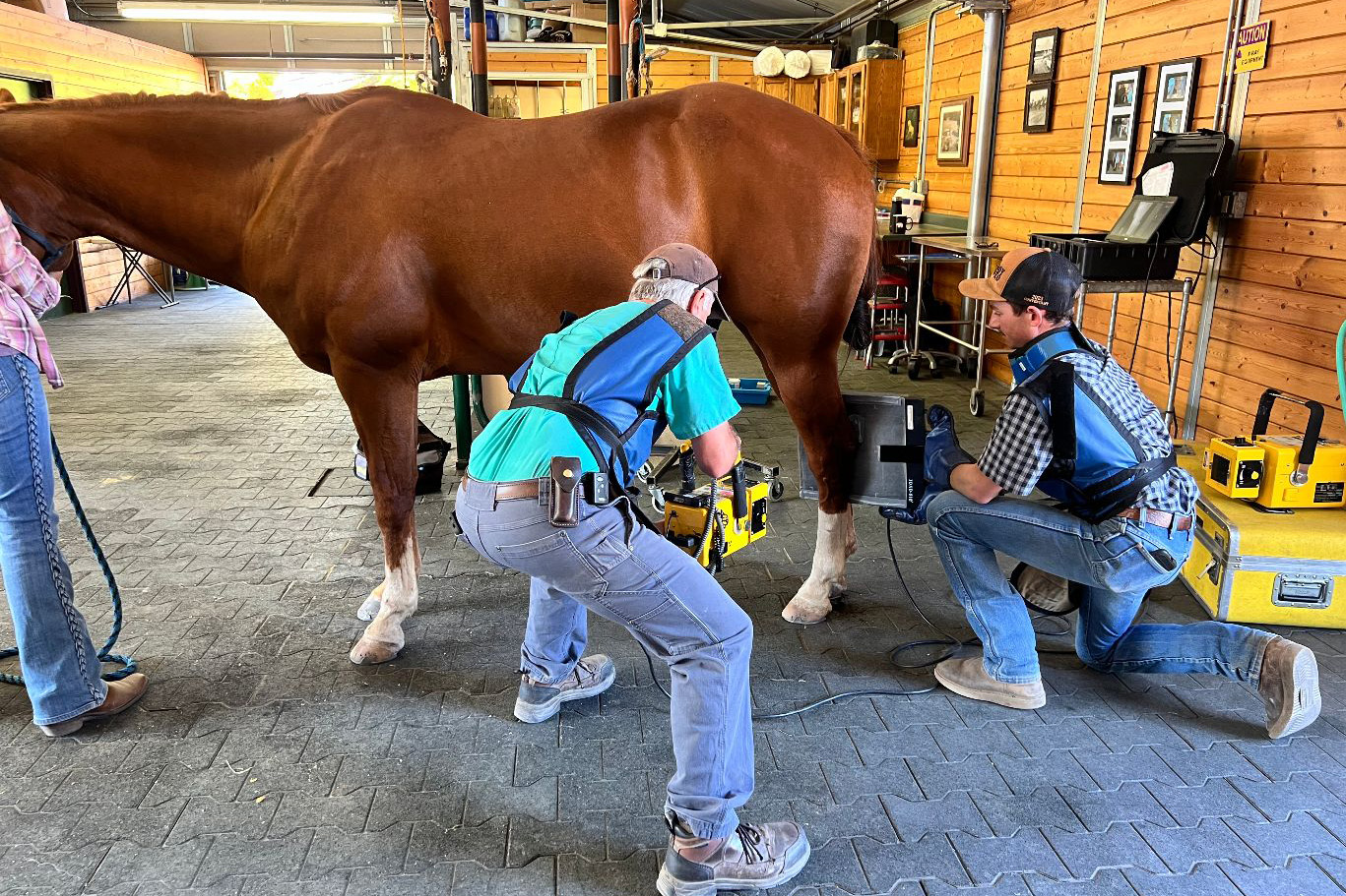 veterinary-services-gallery